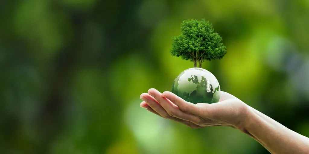 préserver la planère