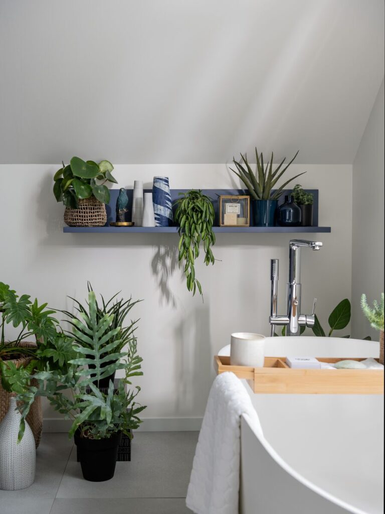 plante dans salle de bain